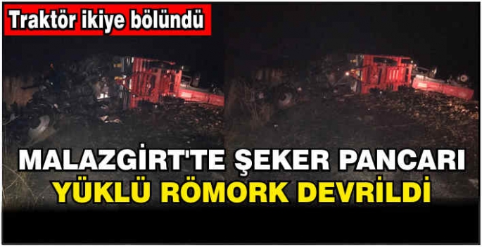 Malazgirt’te şeker pancarı yüklü römork devrildi! Traktör ikiye bölündü