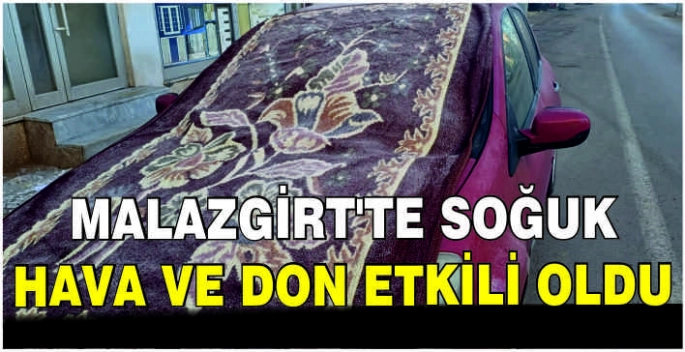 Malazgirt’te soğuk hava ve don etkili oldu