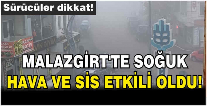 Malazgirt’te soğuk hava ve sis etkili oldu! Sürücüler Dikkat!