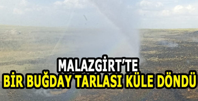 Malazgirt’te tarla yangını: Buğday tarlası küle döndü