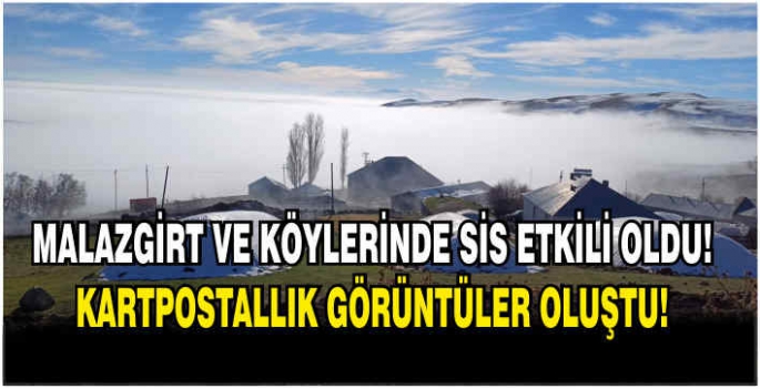 Malazgirt  ve köylerinde sis ve kırağı etkili oldu, soğuk hava nedeniyle ağaçlarda kırağı oluştu.