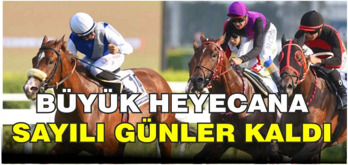 Malazgirt Zaferi etkinliklerinde geleneksel at yarışı yapılacak