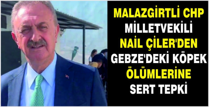 Malazgirtli CHP Milletvekili Nail Çiler'den Gebze'deki köpek ölümlerine sert tepki