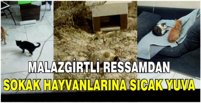 Malazgirtli Ressamdan sokak hayvanlarına sıcak yuva