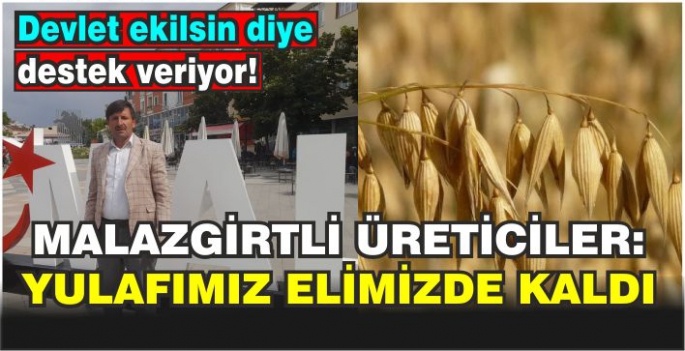 Malazgirtli üreticiler: Yulafımız elimizde kaldı