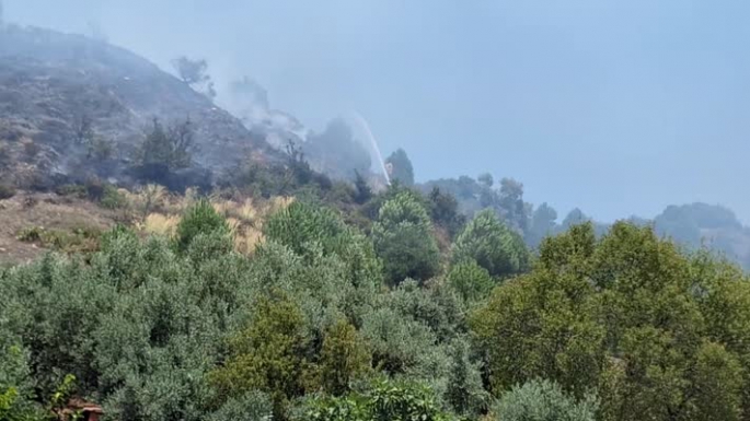 Manisa'da çıkan orman yangını kontrol altına alındı