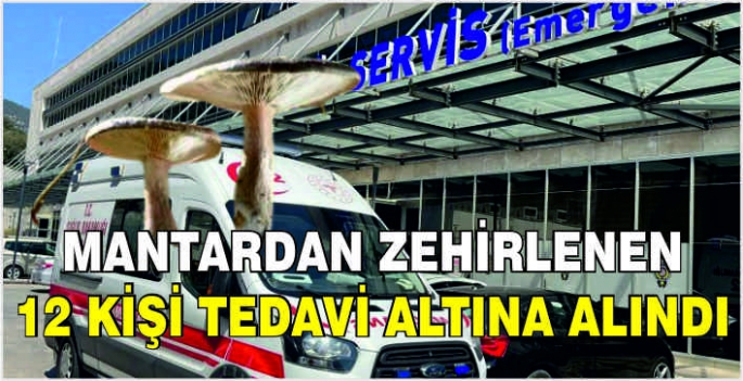 Mantardan zehirlenen 12 kişi tedavi altına alındı