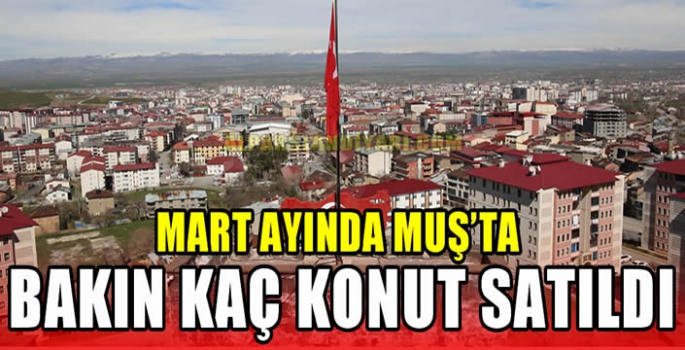 Mart ayında Muş’ta bakın kaç konut satıldı