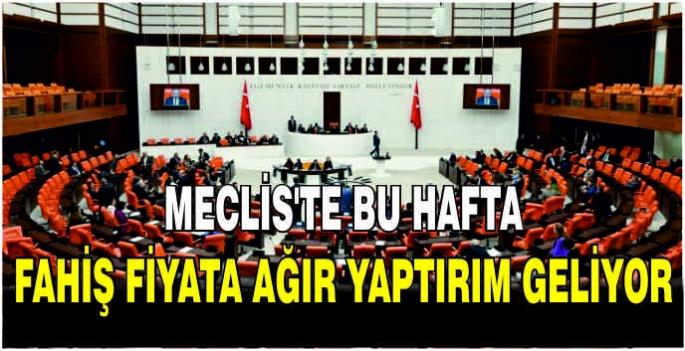  Meclis'te bu hafta: Fahiş fiyata ağır yaptırım geliyor