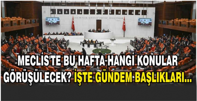  Meclis'te bu hafta hangi konular görüşülecek? İşte gündem başlıkları...