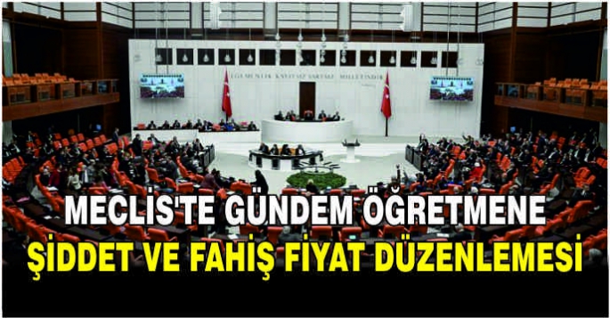 Meclis'te gündem öğretmene şiddet ve fahiş fiyat düzenlemesi