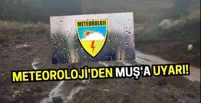 Meteoroloji'den Muş Van ve Erzurum için sarı kodlu uyarı!