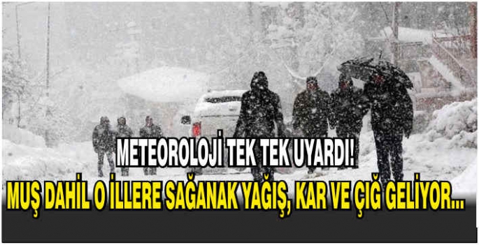 Meteoroloji tek tek uyardı: Muş dahil O illere sağanak yağış, kar ve çığ geliyor...