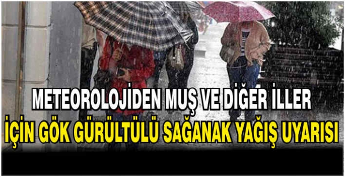 Meteorolojiden Muş ve diğer iller için gök gürültülü sağanak yağış uyarısı