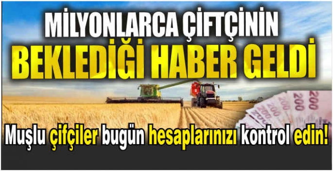 Milyonlarca çiftçi bu haberi bekliyordu! 4 milyar destek ödemesi hesaplara yatıyor