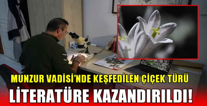 Munzur Vadisi'nde keşfedilen çiçek türü literatüre kazandırıldı!