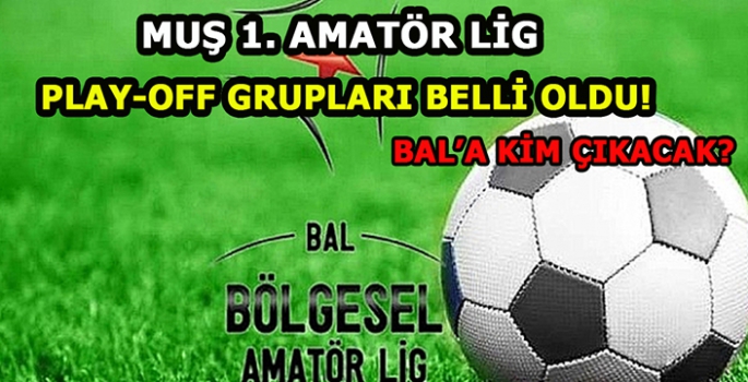 Muş 1. Amatör Lig'de play-offlara kalan takımların grupları belli oldu!