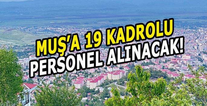 Muş’a 19 kadrolu personel alınacak: Başvuru şartları ve tarihi!