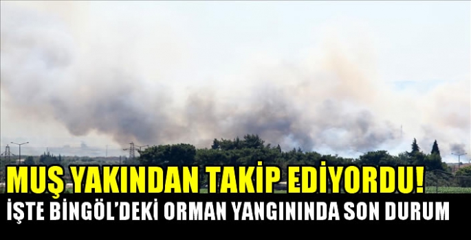 Muş’a sıçrayacak mı? Bingöl’de çıkan orman yangınında son durum açıklandı!