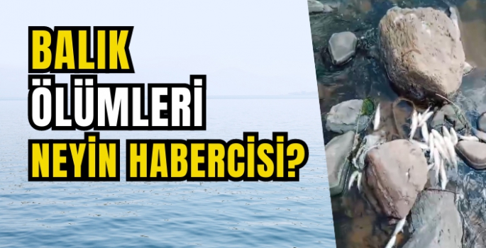 Muş alarma geçti! Murat nehrindeki toplu balık ölümleri endişelendiriyor!