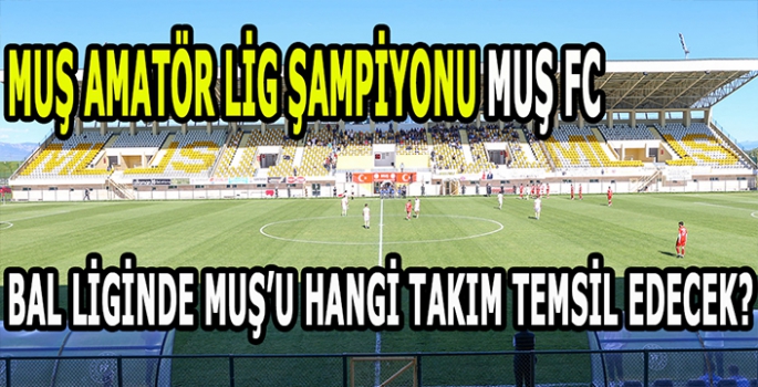 Muş amatör lig finalini Muş FC kazandı: BAL liginde Muş'u hangi takım temsil edecek?