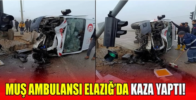 Muş Ambulansı Elazığ'da kaza yaptı