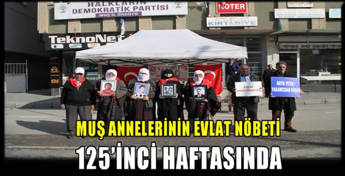 Muş annelerinin evlat nöbeti 125’inci haftasında