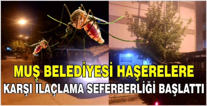 Muş Belediyesi haşerelere karşı ilaçlama seferberliği başlattı