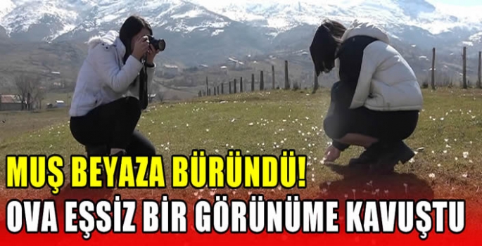 Muş beyaza büründü! Ova eşsiz bir görünüme kavuştu