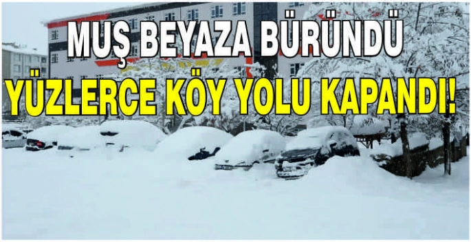 Muş beyaza büründü: Yüzlerce köy yolu kapandı!