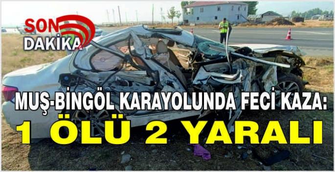 Muş-Bingöl karayolunda Feci Kaza: 1 ölü 2 yaralı