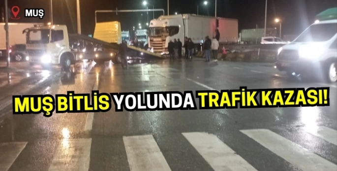 Muş Bitlis yolunda trafik kazası!