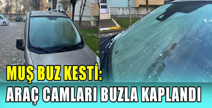 Muş buz kesti: Araç camları buzla kaplandı