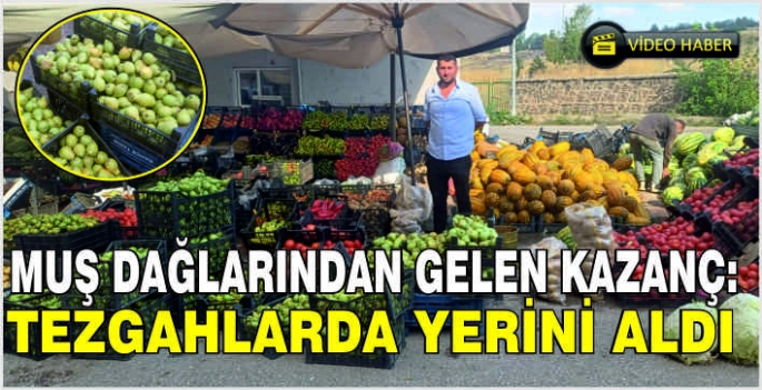 Muş dağlarından gelen kazanç: Tezgahlarda yerini aldı