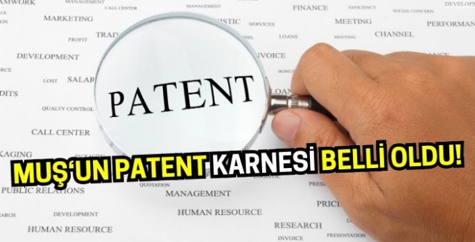 Muş Erzurum Iğdır Elazığ ve Kars’ın patent başvuru sonuçları belli oldu!