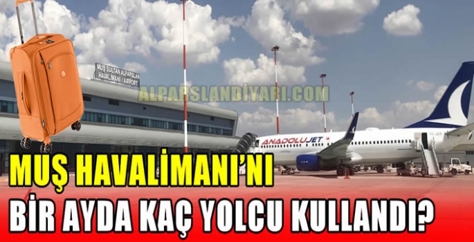 Muş Havalimanı'nı bir ayda kaç yolcu kullandı? 