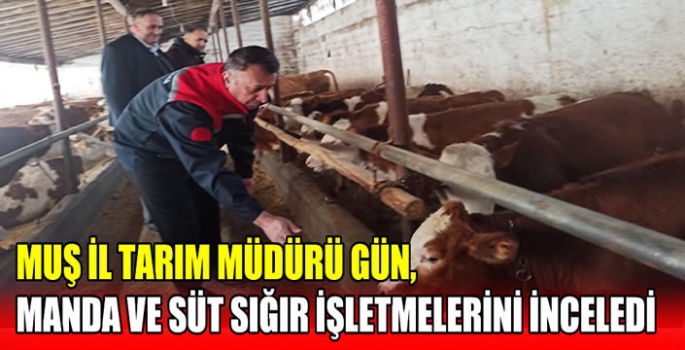 Muş İl Tarım Müdürü Gün, Manda ve Süt Sığır İşletmelerini İnceledi