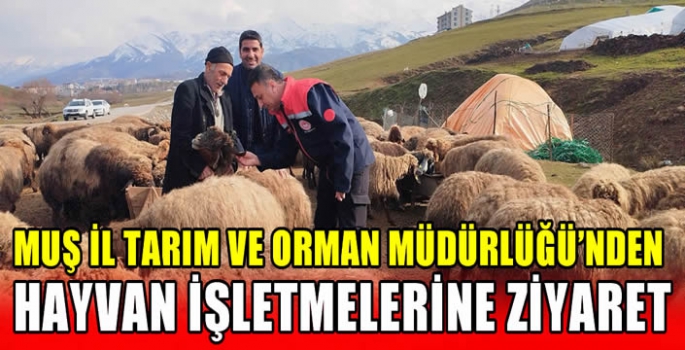 Muş İl Tarım ve Orman Müdürlüğü’nden Hayvan işletmelerine ziyaret 