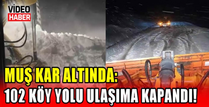 Muş kar altında: 102 köy yolu ulaşıma kapandı!