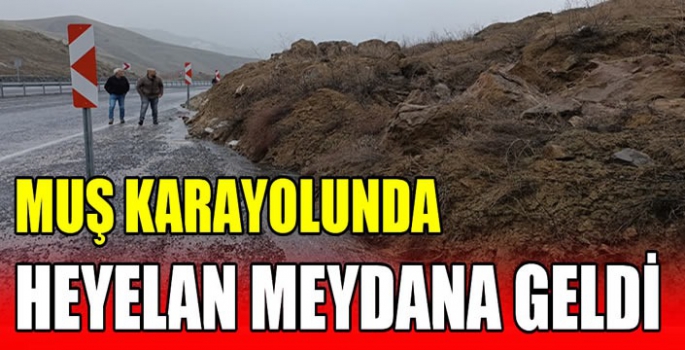 Muş karayolunda heyelan meydana geldi