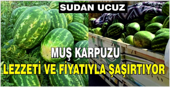 Muş karpuzu lezzeti ve fiyatıyla şaşırtıyor! Sudan ucuz