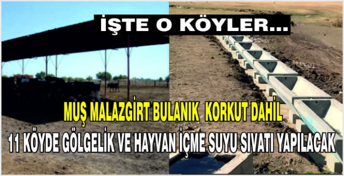 Muş Malazgirt Bulanık Korkut Varto dahil 11 köyde gölgelik ve hayvan içme suyu sıvatı yapılacak