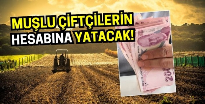 Muş Malazgirt Bulanık Korkut ve Varto’da yaşayan çiftçiler dikkat! Bakanlık hesaplara yatıracak