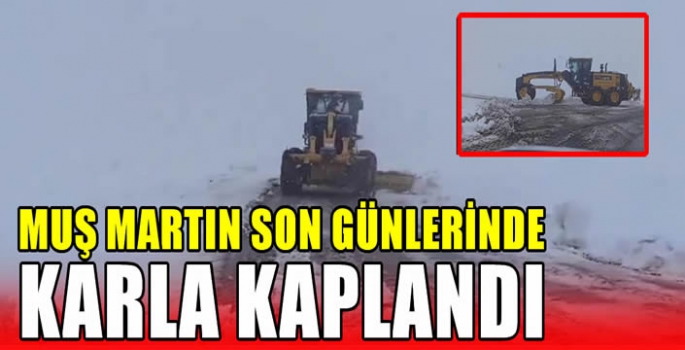 Muş martın son günlerinde karla kaplandı