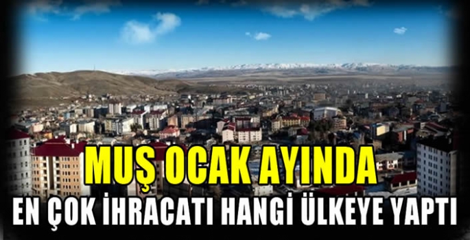 Muş ocak ayında en çok ihracatıh angi ülkeye yaptı?