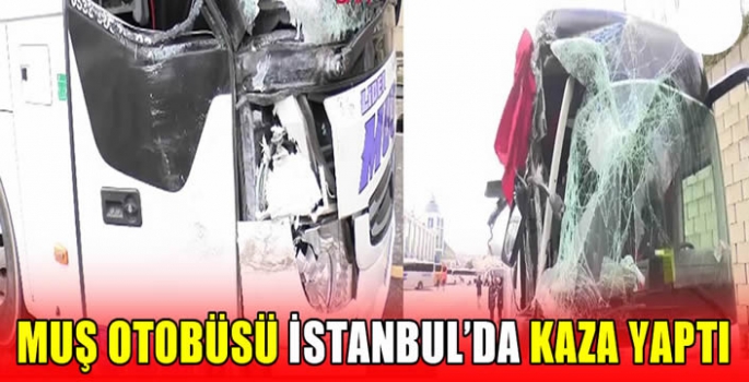 Muş otobüsü İstanbul’da kaza yaptı