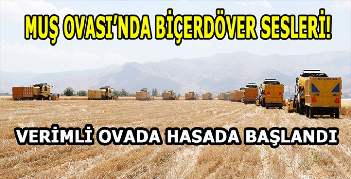 Muş Ovası'nda Biçerdöver sesleri: Hububat hasadına başlandı