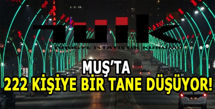 Muş şaşırtmaya devam ediyor: Her 222 kişiye bir tane düşüyor!