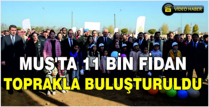 Muş'ta 11 bin fidan toprakla buluşturuldu