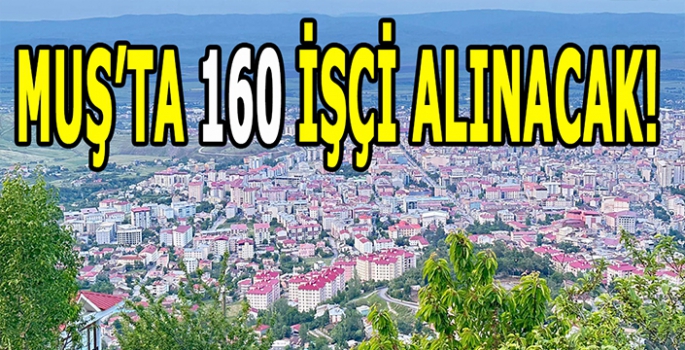 Muş'ta 160 işçi alınacak: Başvuru için son gün!